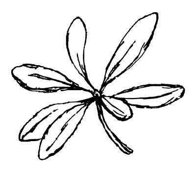 Gretton Kewley Garden Design Logo
